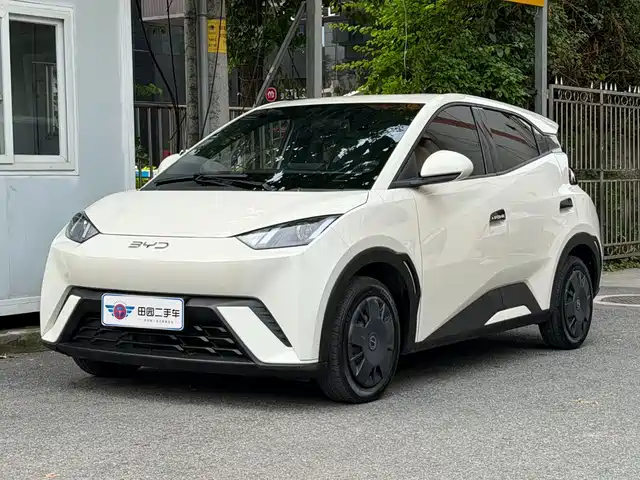 BYD 海鸥