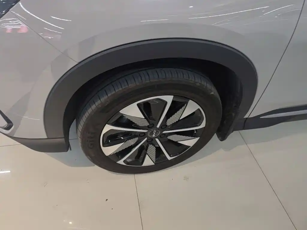 BYD PLUS New Energy — миниатюра 23