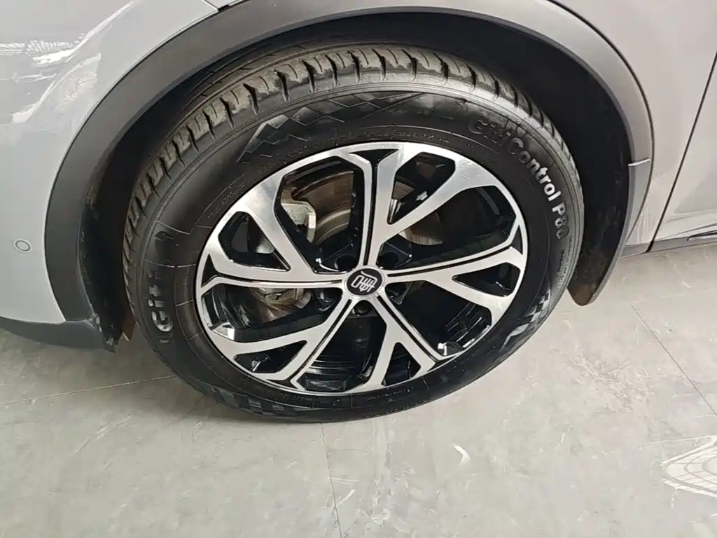 BYD Tang New Energy — миниатюра 23