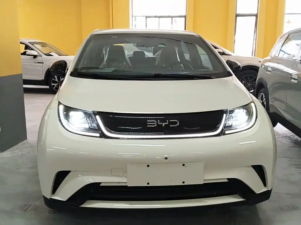 BYD Dolphin — миниатюра 3