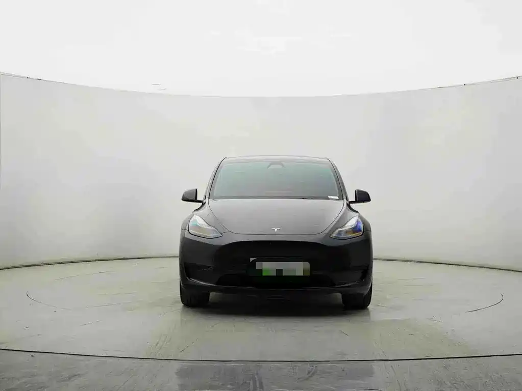 Tesla Model Y — миниатюра 2