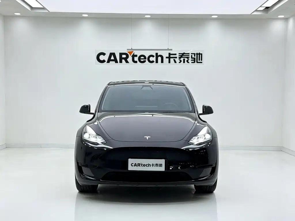 Tesla Model Y — миниатюра 2