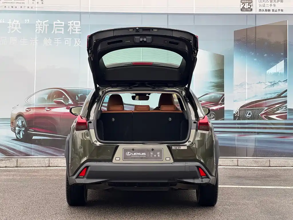Lexus UX New Energy — миниатюра 9
