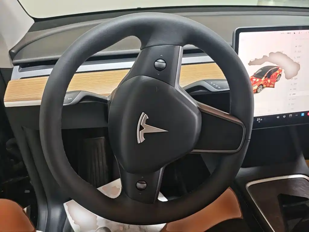 Tesla Model Y — миниатюра 11