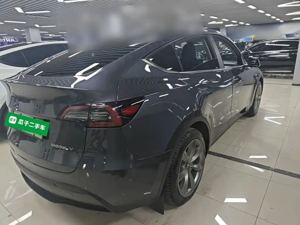 Tesla Model Y — миниатюра 7