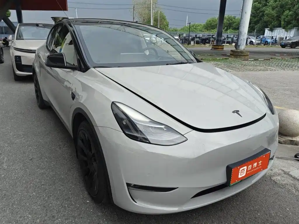 Tesla Model Y — миниатюра 2