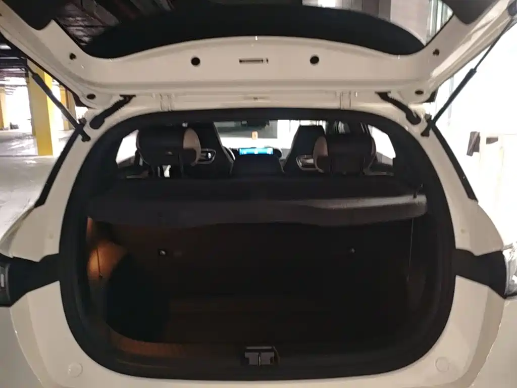 BYD Dolphin — миниатюра 19