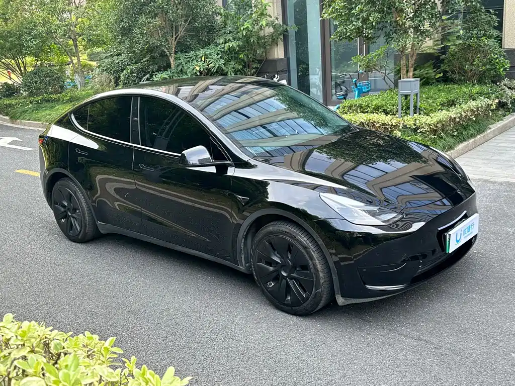 Tesla Model Y — миниатюра 3