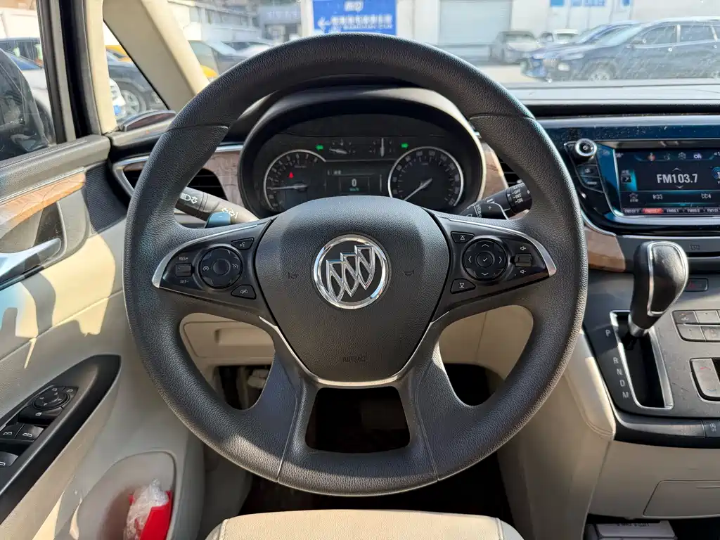 Buick GL8 — миниатюра 7