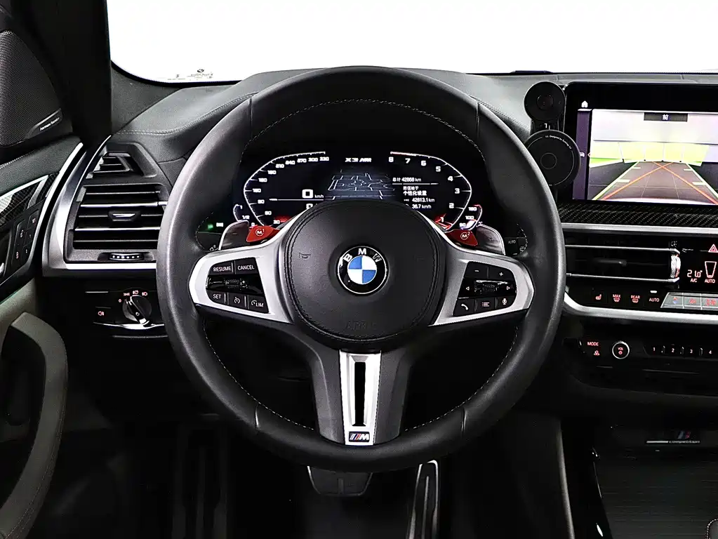 BMW X3 M — миниатюра 10