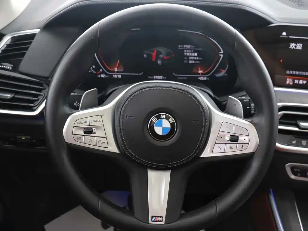 BMW X5 — миниатюра 10