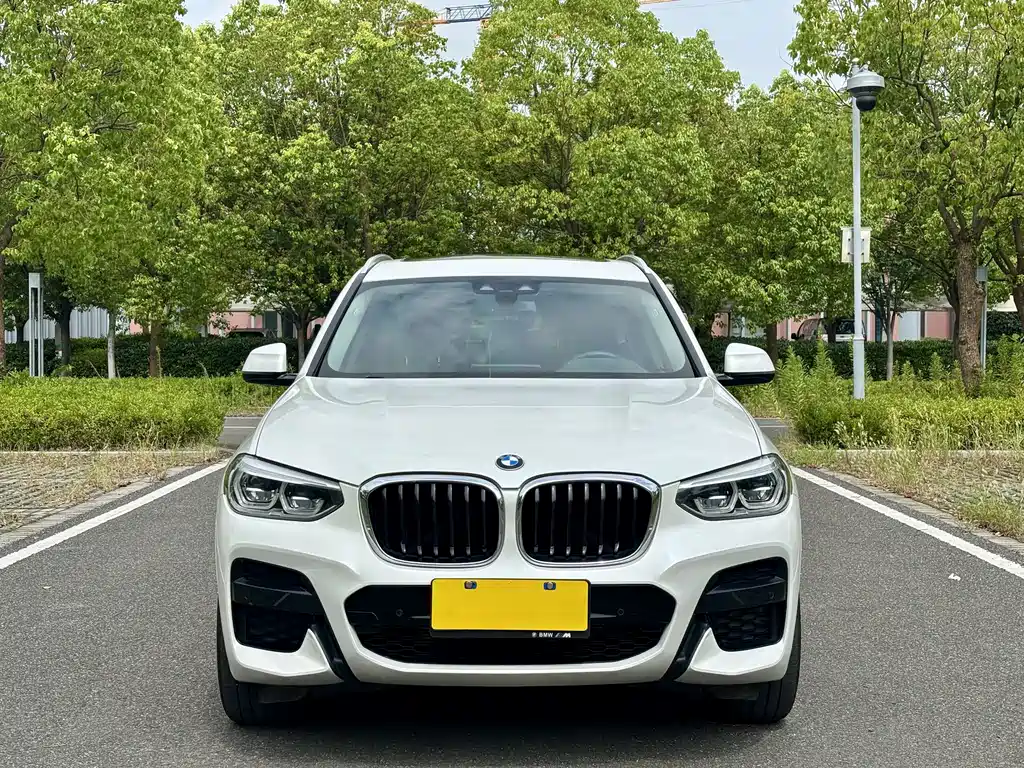 BMW X3 — миниатюра 2