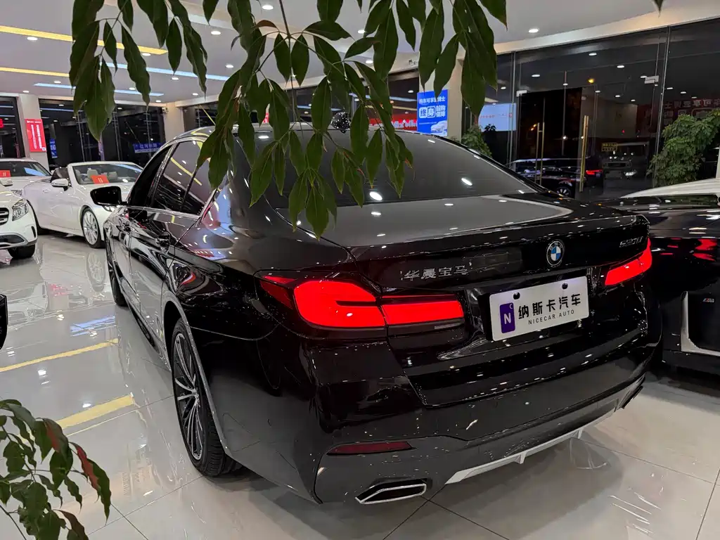 BMW 5 Series — миниатюра 6