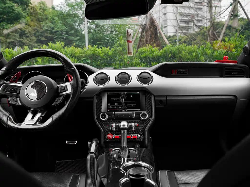 Ford Mustang 2.3T Performance Edition, фото 5