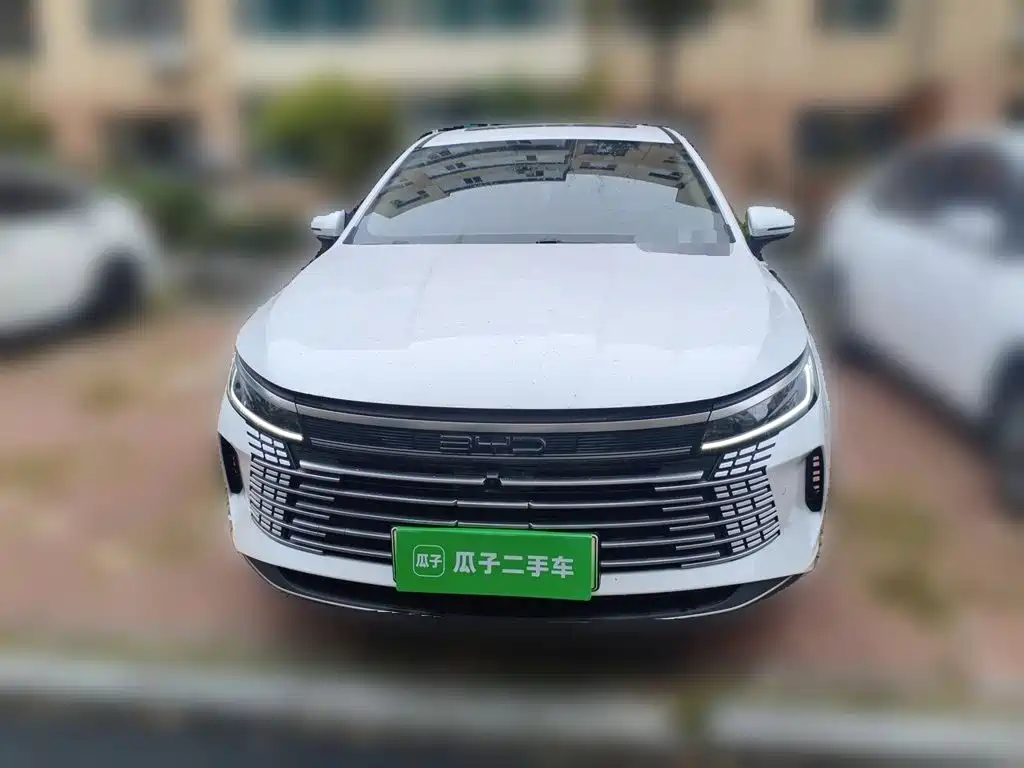 BYD Destroyer 05 — миниатюра 24