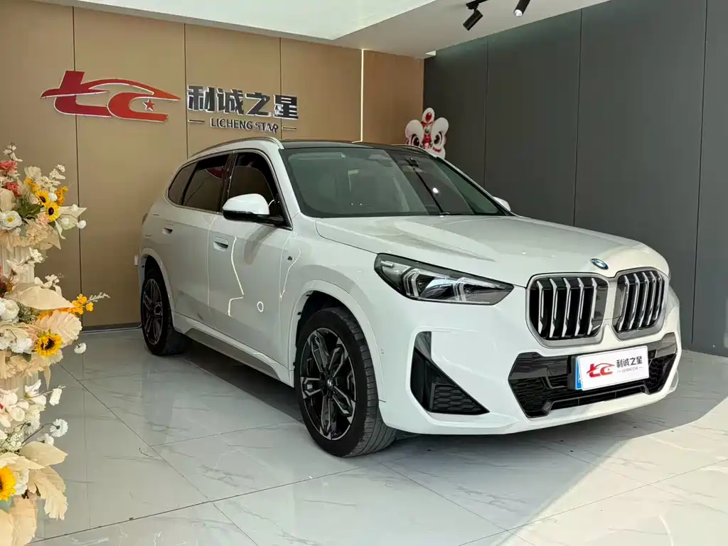 BMW X1 — миниатюра 3