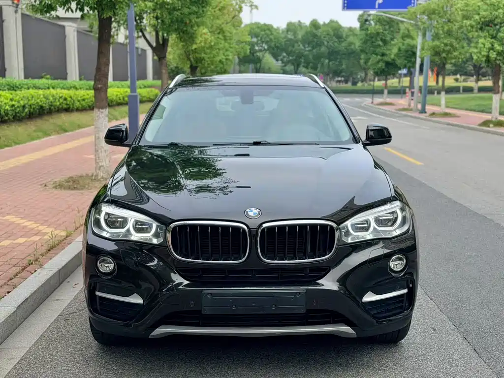 BMW X6 — миниатюра 2