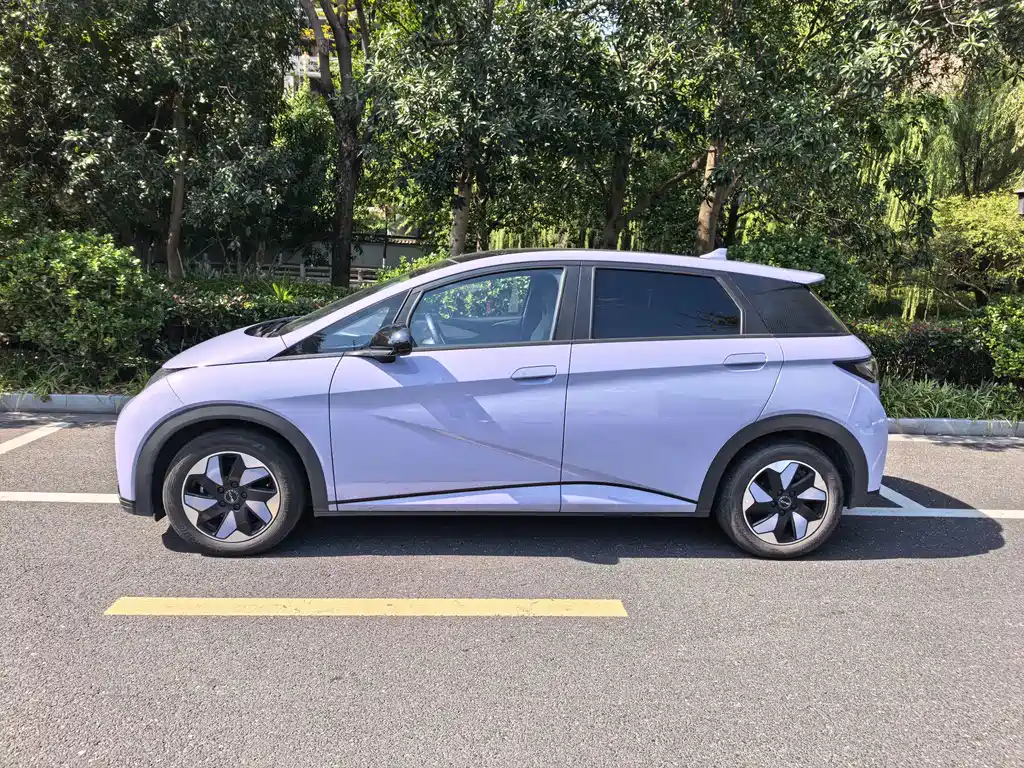 BYD Dolphin — миниатюра 2