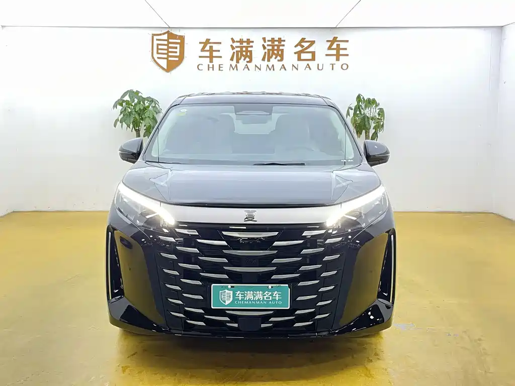 BYD Xia — миниатюра 2
