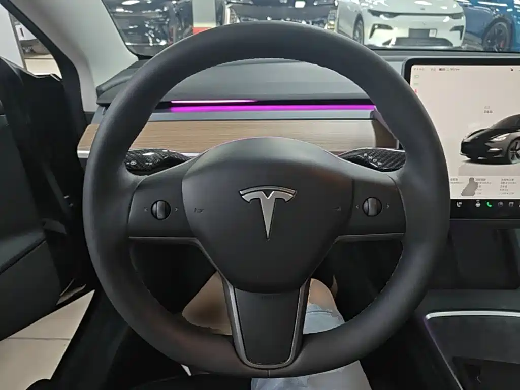 Tesla Model 3 — миниатюра 11