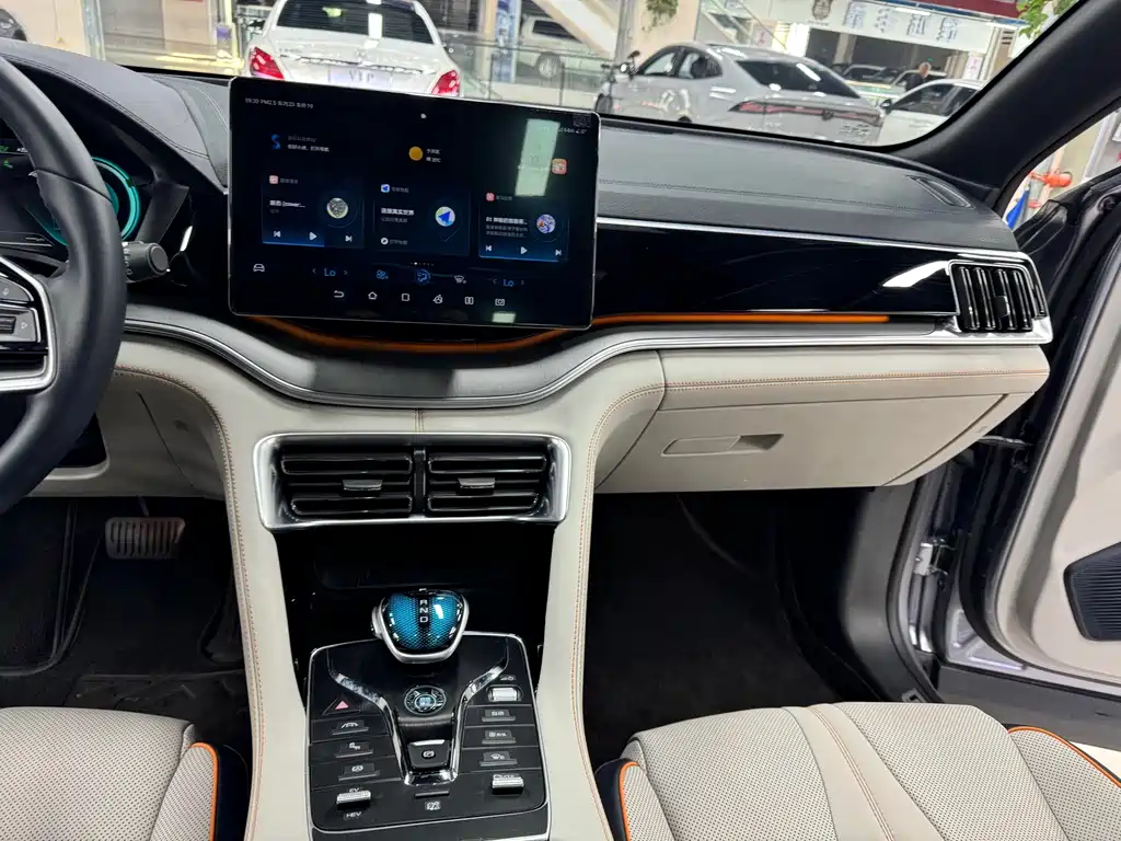 BYD PLUS New Energy — миниатюра 12