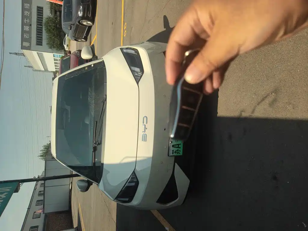 BYD Seagull — миниатюра 25