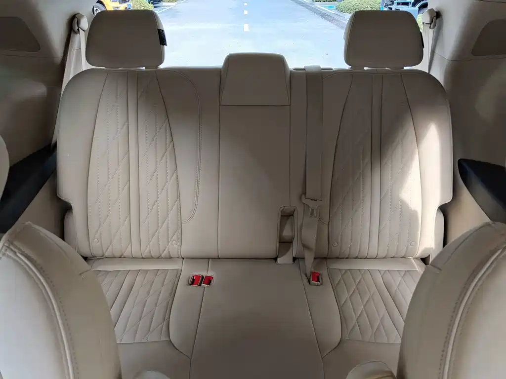 Buick GL8 — миниатюра 10