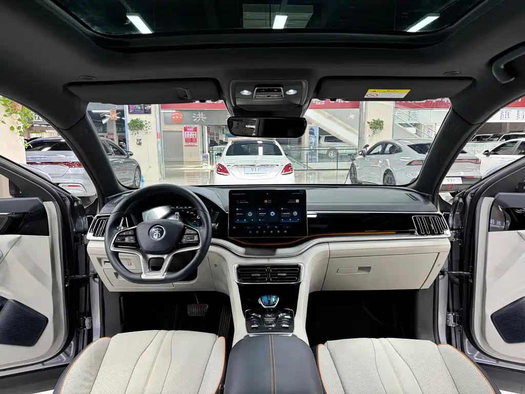 BYD PLUS New Energy — миниатюра 15