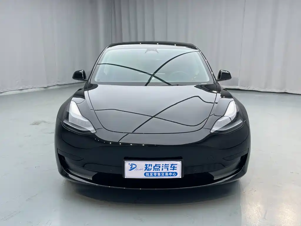 Tesla Model 3 — миниатюра 2
