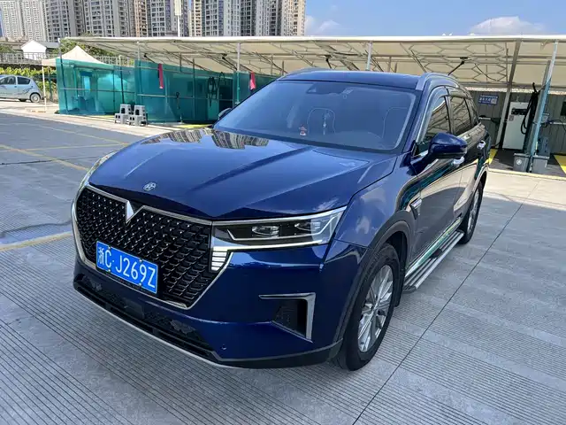 QICHEN XING 2020