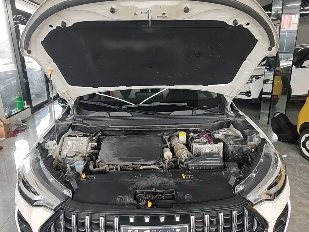 Haval Chitu — миниатюра 20