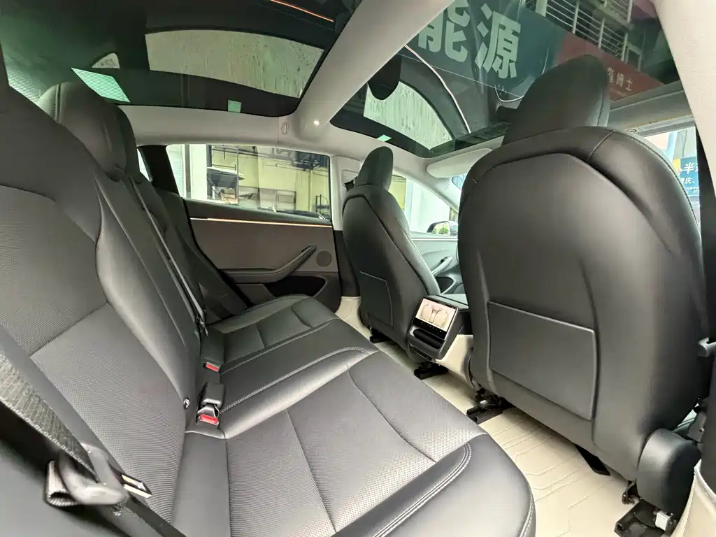 Tesla Model 3 — миниатюра 9