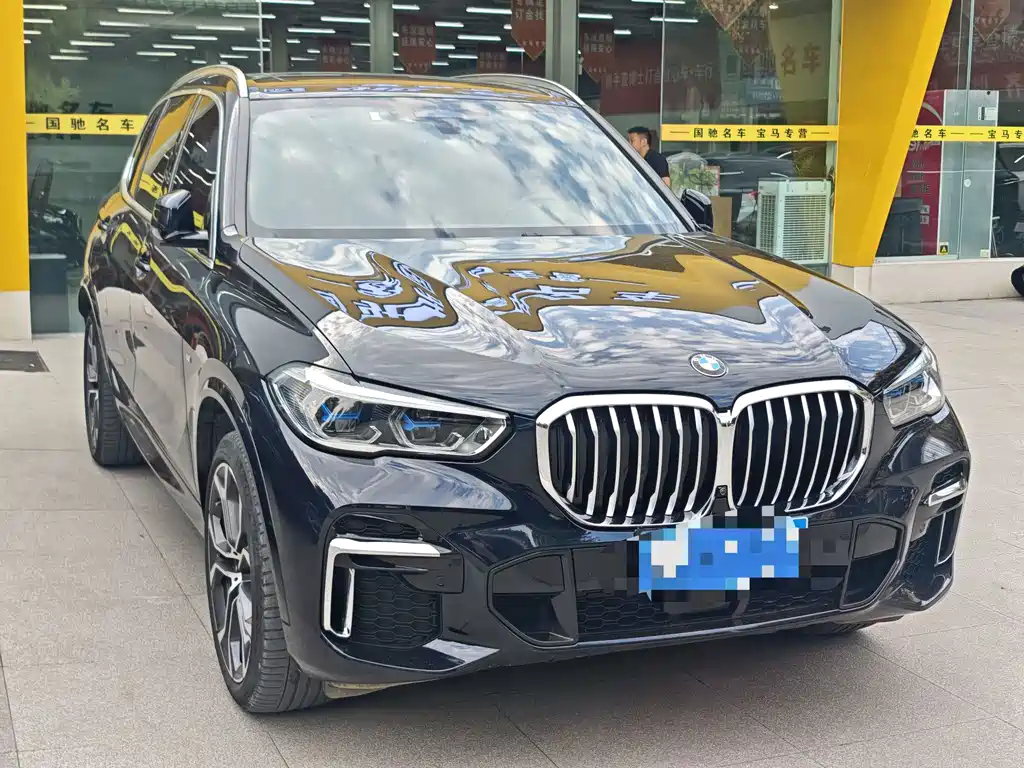 BMW X5 — миниатюра 2