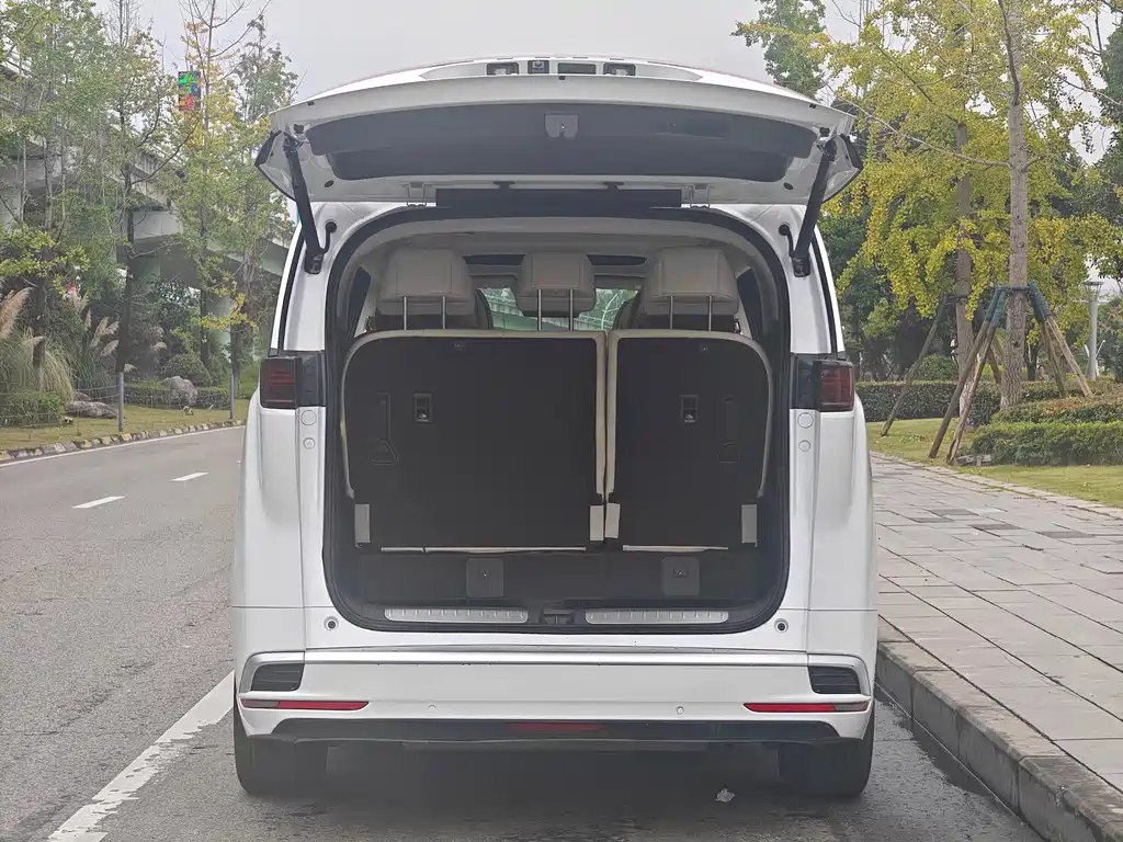 Denza Denza D9 — миниатюра 10