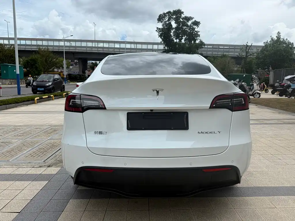 Tesla Model Y — миниатюра 12