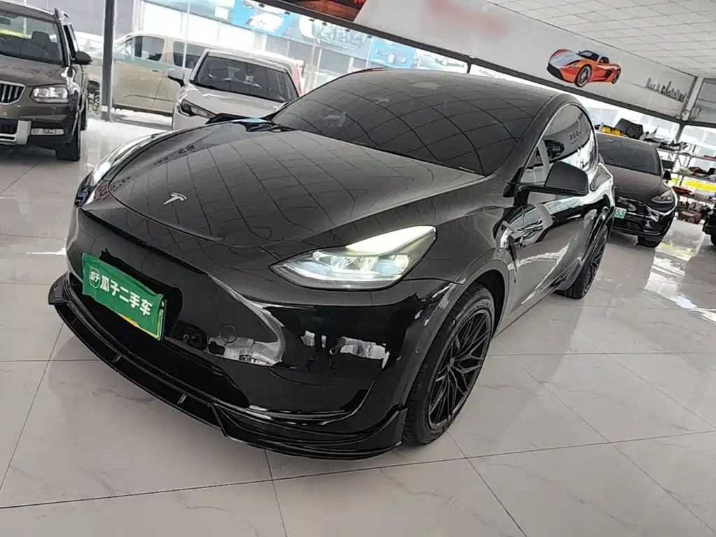 Tesla Model Y — миниатюра 2