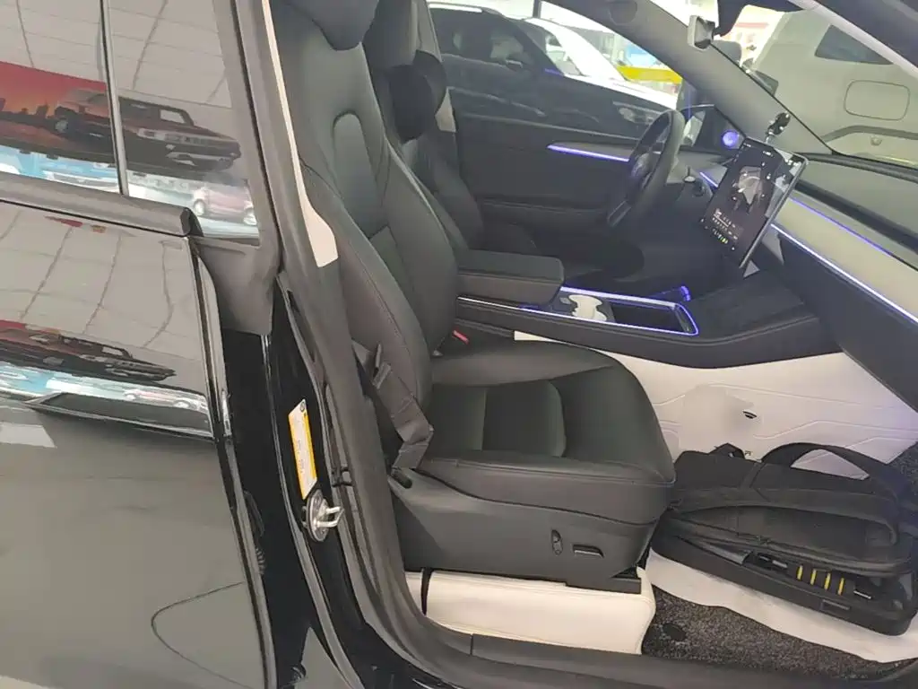 Tesla Model Y — миниатюра 25