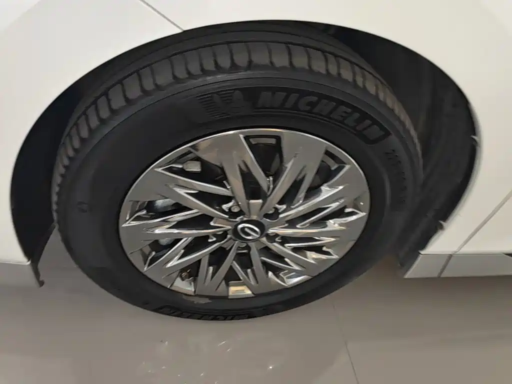 GAC Motor Trumpchi Xiangwang M8 — миниатюра 23