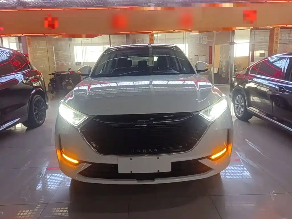 Oshan Oushang X7 — миниатюра 3