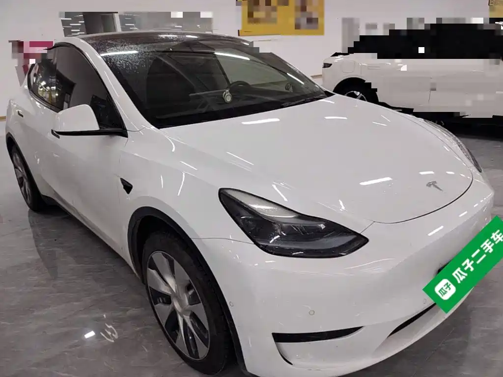 Tesla Model Y — миниатюра 4