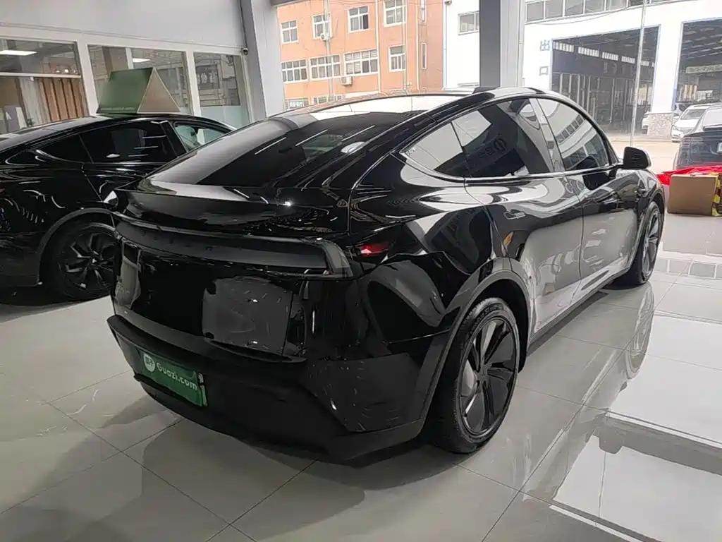 Tesla Model Y — миниатюра 7
