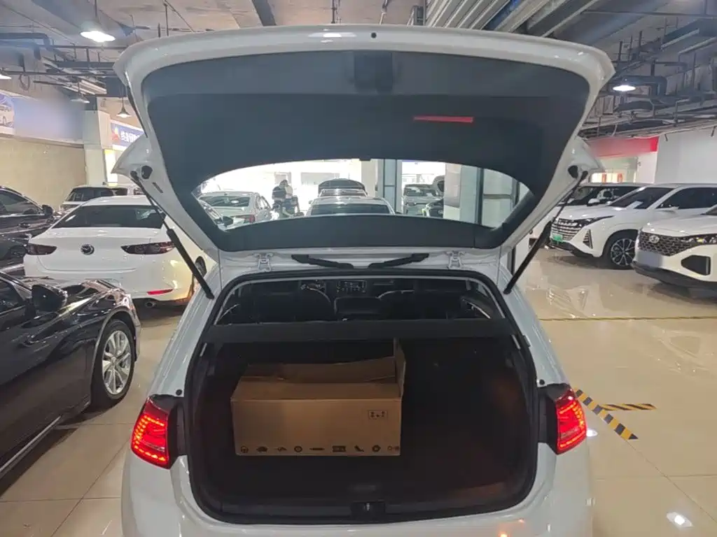 Volkswagen Golf — миниатюра 19