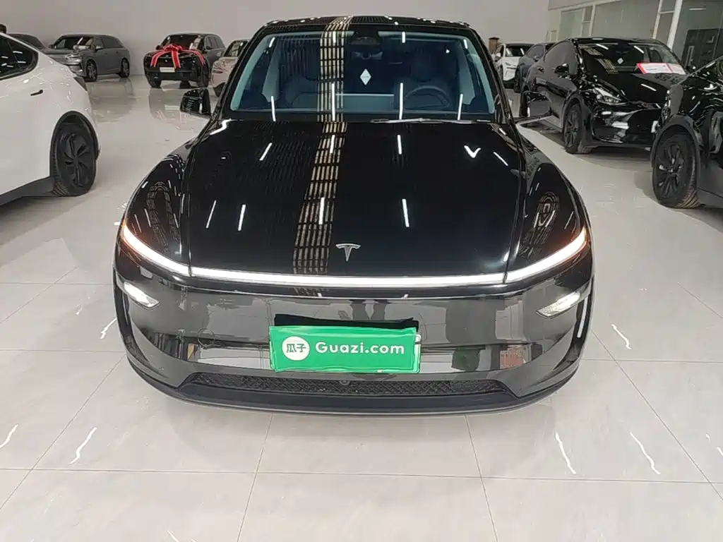 Tesla Model Y — миниатюра 3