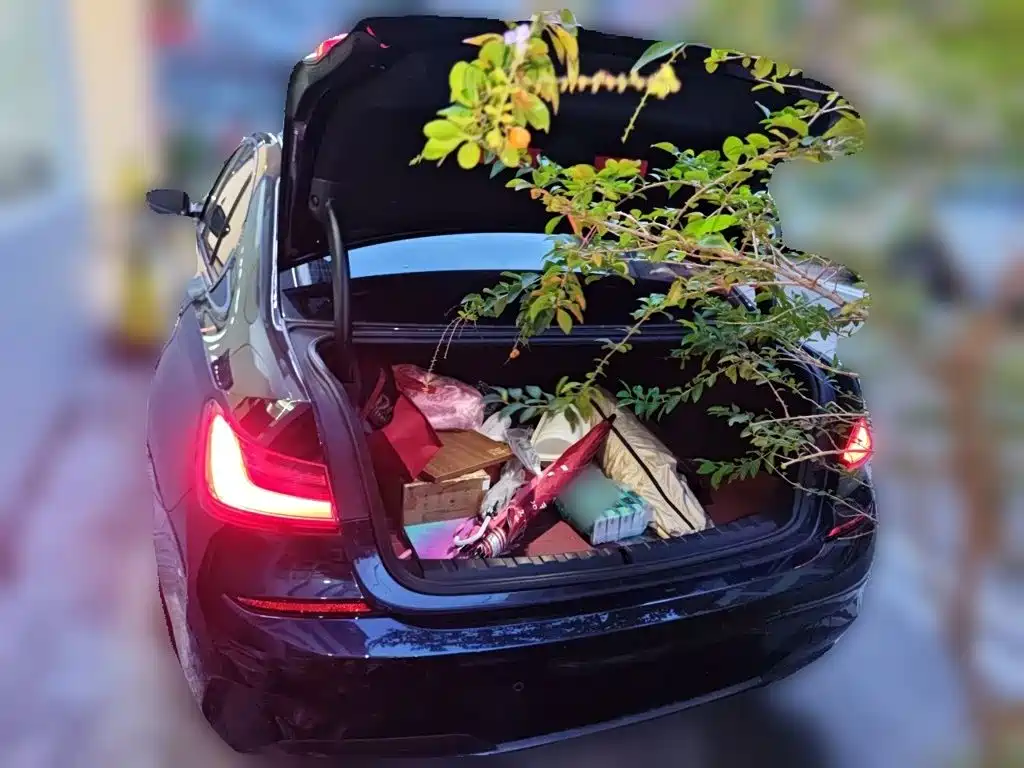 BMW 3 Series — миниатюра 10