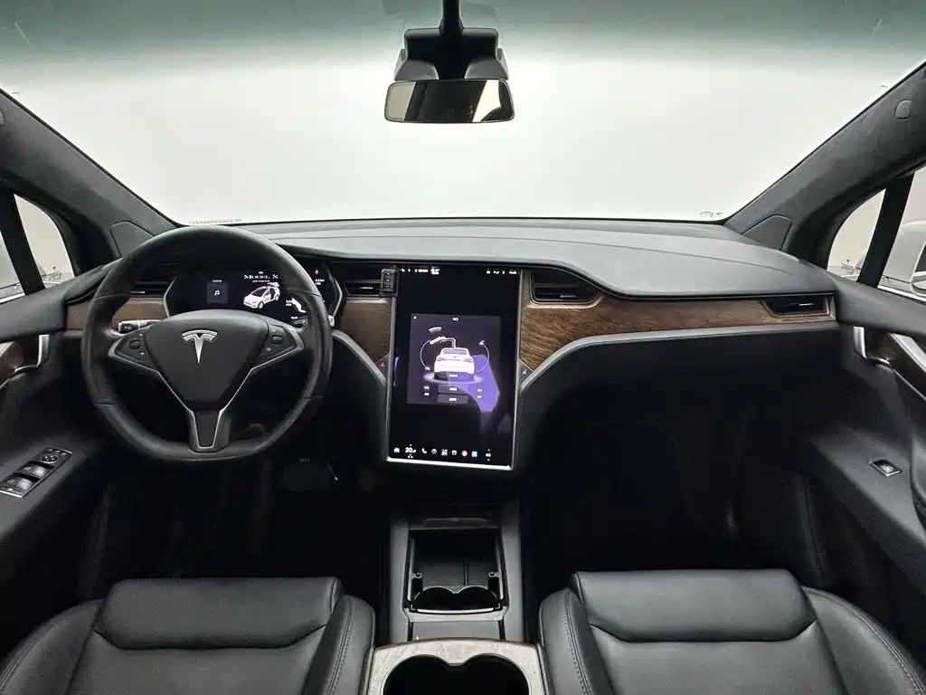 Tesla Model X — миниатюра 18