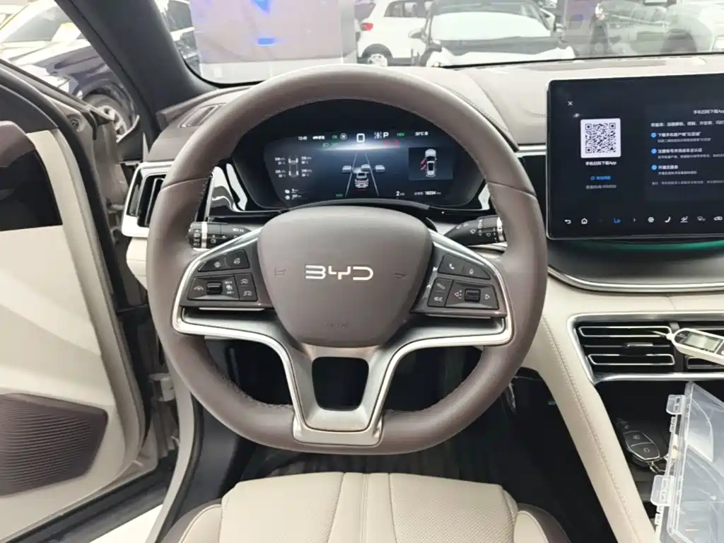 BYD PLUS New Energy — миниатюра 11