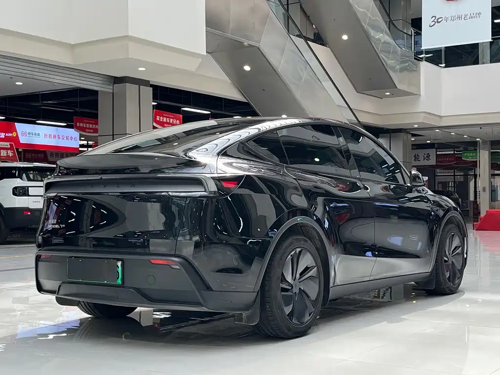 Tesla Model Y — миниатюра 15
