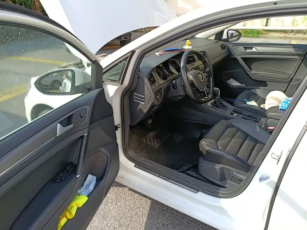 Volkswagen Golf — миниатюра 12