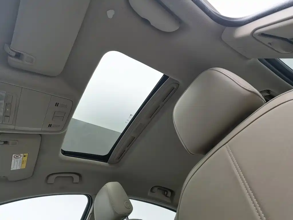 Buick Regal — миниатюра 14