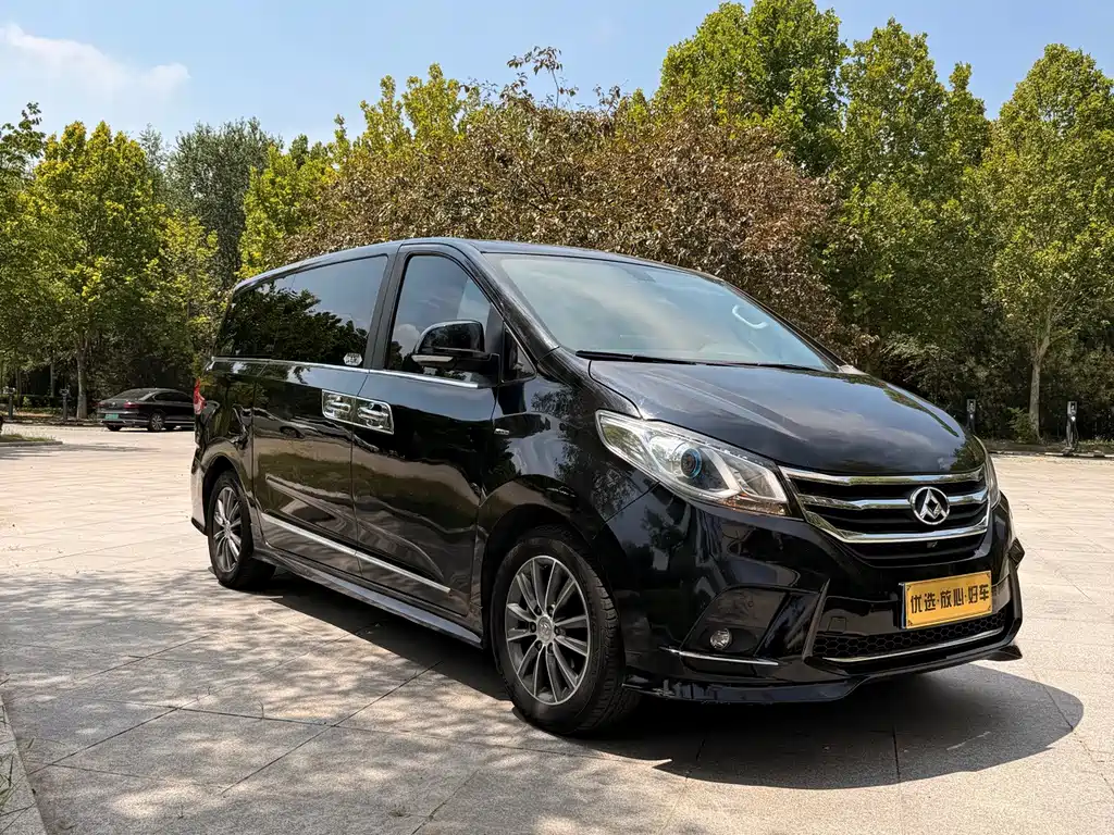 Maxus G10 PLUS 2.0T Auto Luxury Executive Edition, фото 13